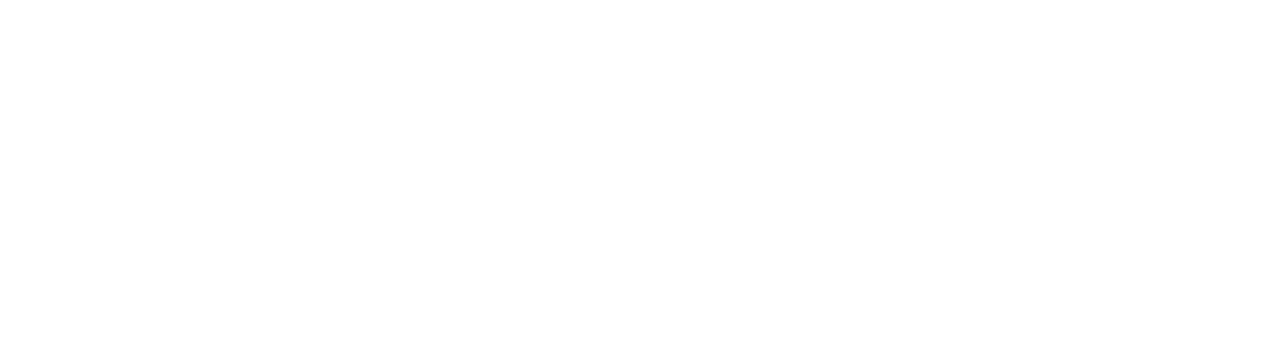 bauer & partner | managemente - consulting