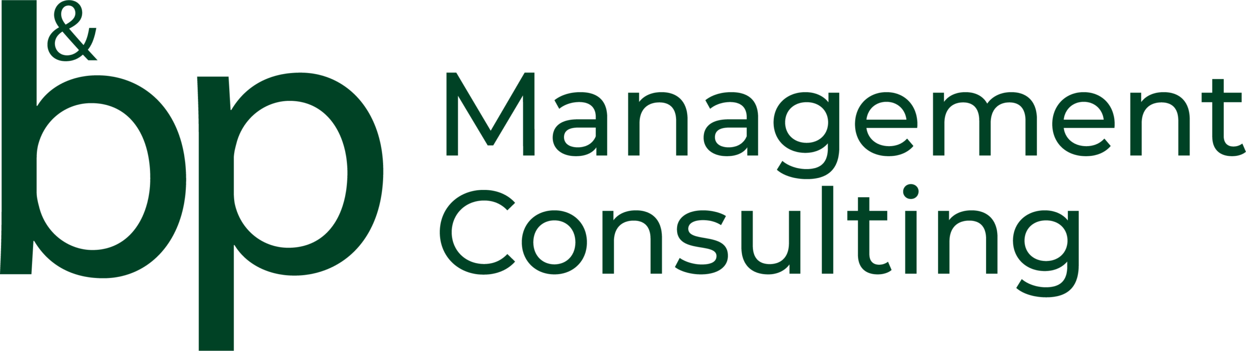 bauer & partner | managemente - consulting